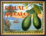 Buy Deluxe Avacados at AllPosters.com
