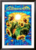 Terrapin Sunflower