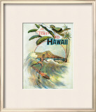 A Trip to Hawaii
