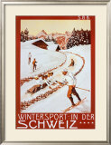Winter Sport in Der Schweiz Framed Art Print