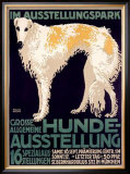 Hunde Ausstellung