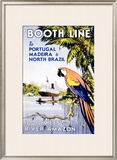 Booth Ocean Lines to Portugal