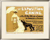 Buy 36th Exposition Canine de Briard at AllPosters.com