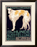 Hunde Ausstellung