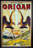 Cycles Origan