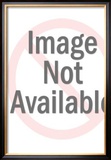 Buy Niagara at AllPosters.com