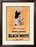 Black and White Scotch
