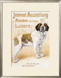 Austellung Von Hunden