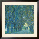 Viale Alberato