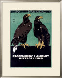Buy Zoo at AllPosters.com