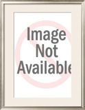 Buy Niagara at AllPosters.com