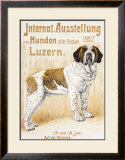 Austellung Von Hunden
