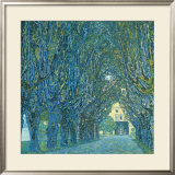 Viale Alberato