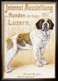 Austellung Von Hunden