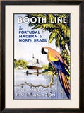 Booth Ocean Lines to Portugal