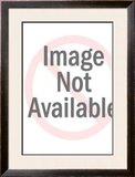 Buy Niagara at AllPosters.com