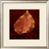 Buy Summerset Gold at AllPosters.com