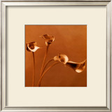 Buy Callas at AllPosters.com