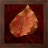 Buy Summerset Gold at AllPosters.com