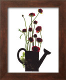 Buy Wild Buttercups, Watering Can at AllPosters.com