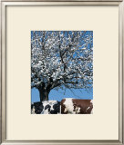 Buy Two Profils at AllPosters.com