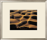 Buy Dromadaires I at AllPosters.com