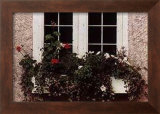 Buy Window Box at AllPosters.com