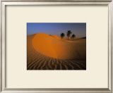 Buy Algerie at AllPosters.com