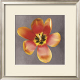 Buy Sunshine Tulip at AllPosters.com