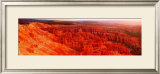 Buy Bryce Canyon at AllPosters.com