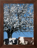 Buy Two Profils at AllPosters.com