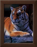 Buy Bengal Tiger at AllPosters.com