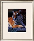 Buy Bengal Tiger at AllPosters.com