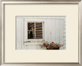 Buy Jonathan's Window at AllPosters.com
