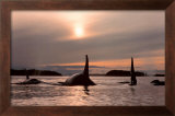 Twilight Framed Art Print