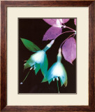 Photogram