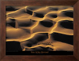 Buy Dromadaires I at AllPosters.com