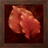 Buy Summerset Red at AllPosters.com