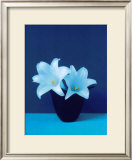 Buy Lilies at AllPosters.com