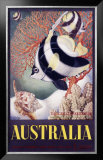 Buy Australia Great Barrier Reef at AllPosters.com
