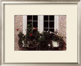 Buy Window Box at AllPosters.com