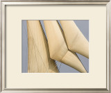 Buy Windward I at AllPosters.com