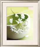 Little Flowers