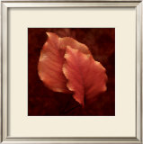 Buy Summerset Red at AllPosters.com