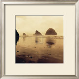Buy Drifting Sands V at AllPosters.com
