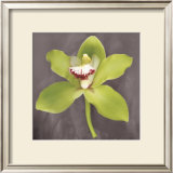 Buy Botanique at AllPosters.com