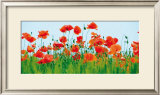 Buy Poppy Fields at AllPosters.com