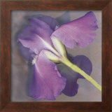 Buy Parfum at AllPosters.com