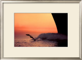 Buy Flight at AllPosters.com