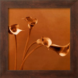 Buy Callas at AllPosters.com